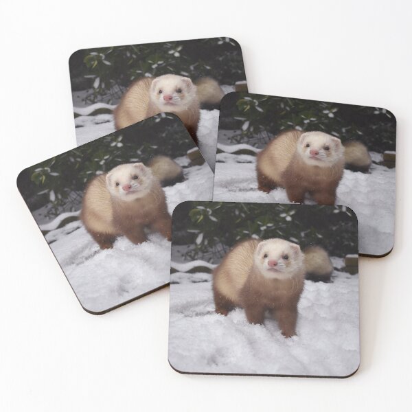 Item preview, Snowy Ferret photo 1 designed and sold by HazyJadeOfArt.