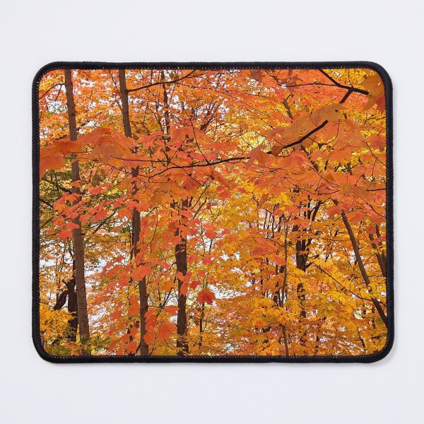 Item preview, Autumn Forest designed and sold by empracht.
