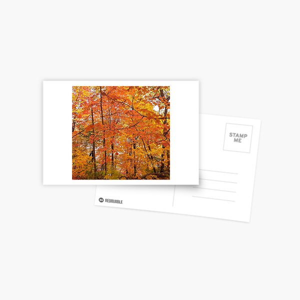 Item preview, Autumn Forest designed and sold by empracht.