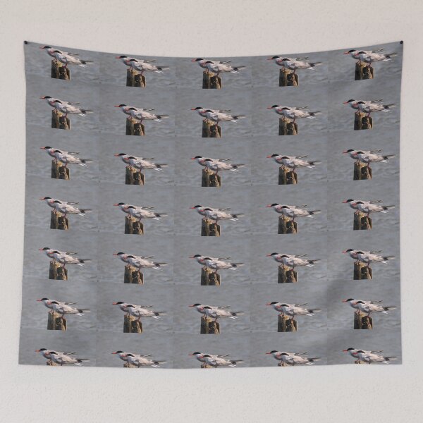 Item preview, Terns in Kent designed and sold by David JC.