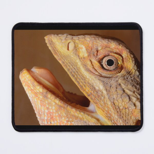 Item preview, bearded dragon photo 2 designed and sold by HazyJadeOfArt.