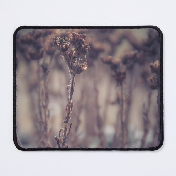 Item preview, Micro Dry Plants I designed and sold by rodriguesfhs.