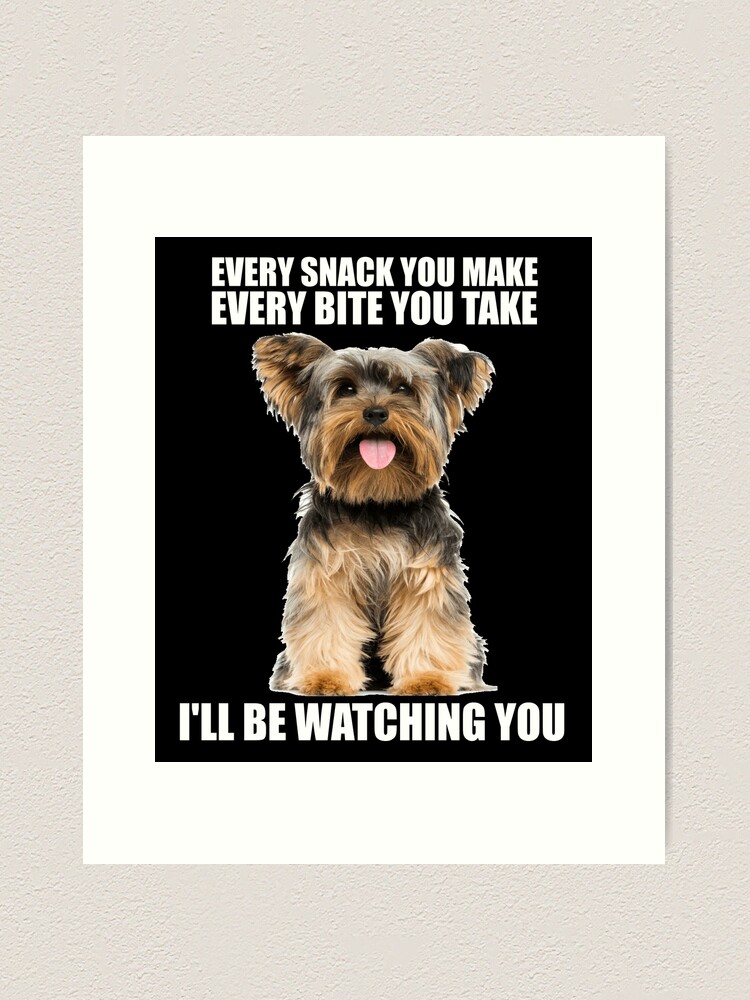 Funny store yorkie sayings