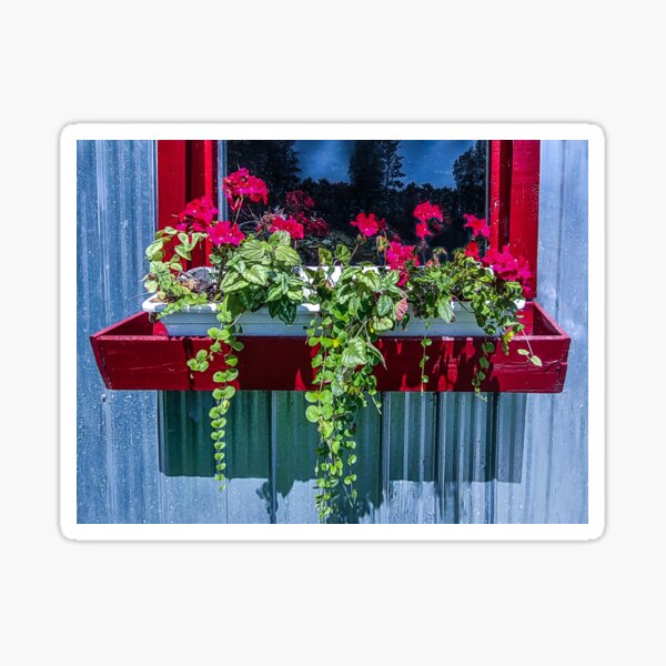 "Red Flower Box" Sticker for Sale by MonkeyBen Redbubble