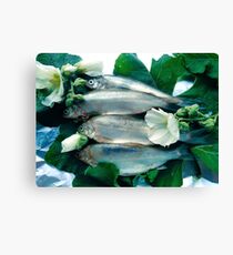 Fresh fish Canvas Print