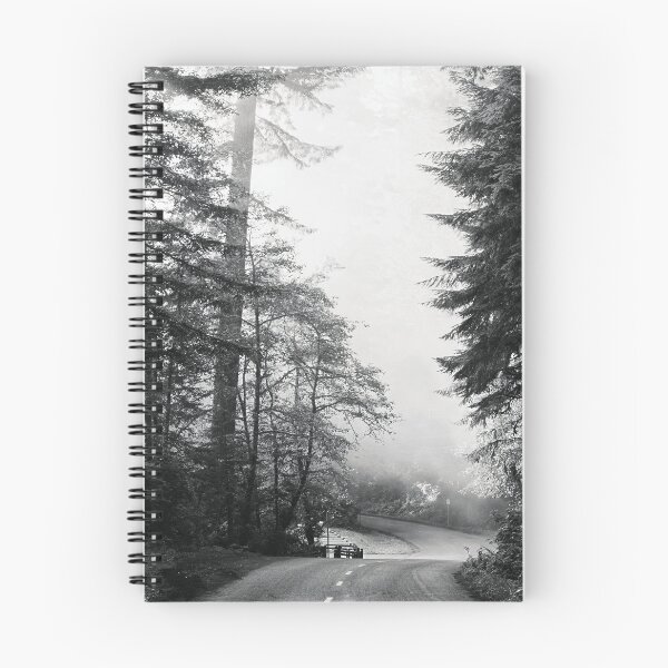 Item preview, Achromo Cali-Lady Bird Johnson Grove in Northern California Photography designed and sold by BossyCatHome.
