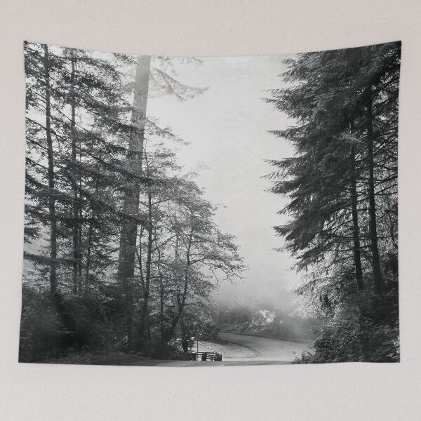 Item preview, Achromo Cali-Lady Bird Johnson Grove in Northern California Photography designed and sold by BossyCatHome.