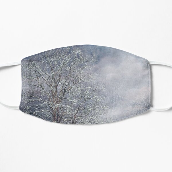 Passing Moods (2) Flat Mask
