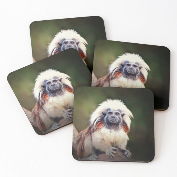 Item preview, Tamarin  designed and sold by Savannah Gibbs.
