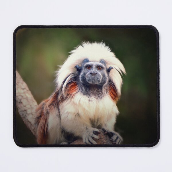Item preview, Tamarin designed and sold by Savannah Gibbs.