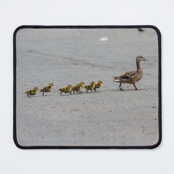 Item preview, Ducklings designed and sold by Lrenz.