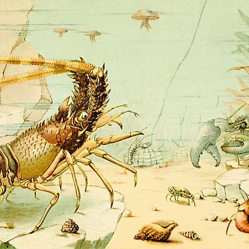 Artwork thumbnail, Crustaceans by Twisted Wick
