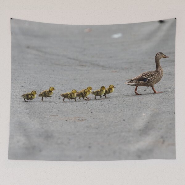 Item preview, Ducklings designed and sold by Lrenz.