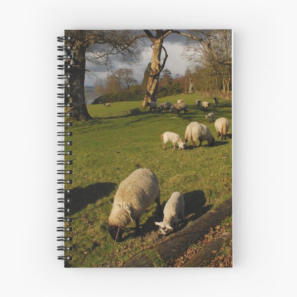 Item preview, Sheep may safely graze ................ designed and sold by Billlee.