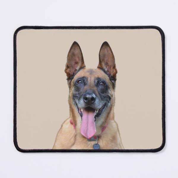 Item preview, Belgian Malinois designed and sold by RainbowSpinkle.