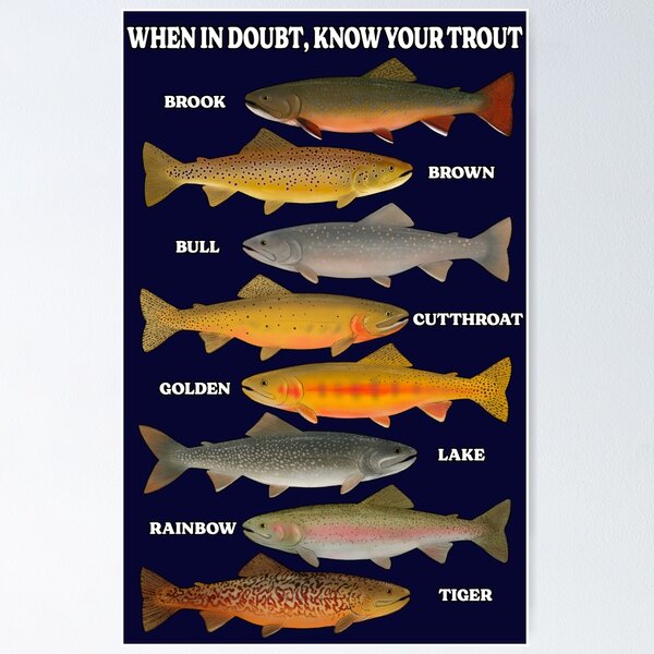 Item preview, When in Doubt, Know Your Trout designed and sold by LannersLines.