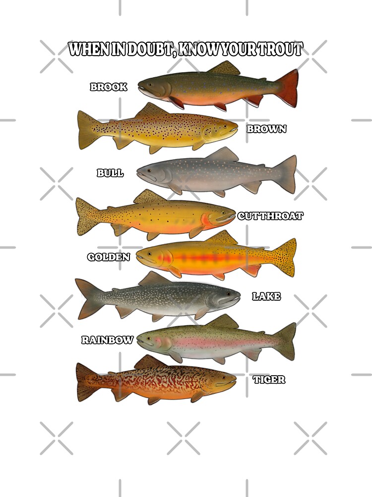 Trout Fishing Shirt / Hoodie / Sweatshirt / Tank Top / Brook Trout Tee /  Brown Trout Shirt / Trout Gifts / Trout T-shirt / Rainbow Trout -   Canada