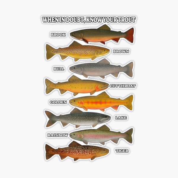 When in Doubt, Know Your Trout Sticker for Sale by LannersLines