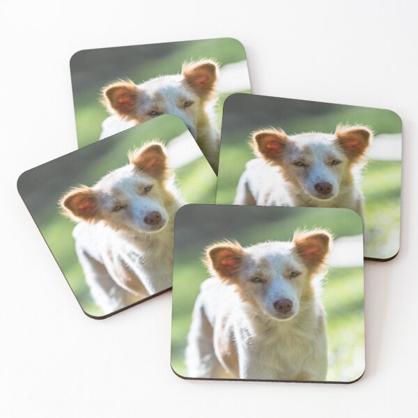 Item preview, Philippine Native Dog designed and sold by Lrenz.