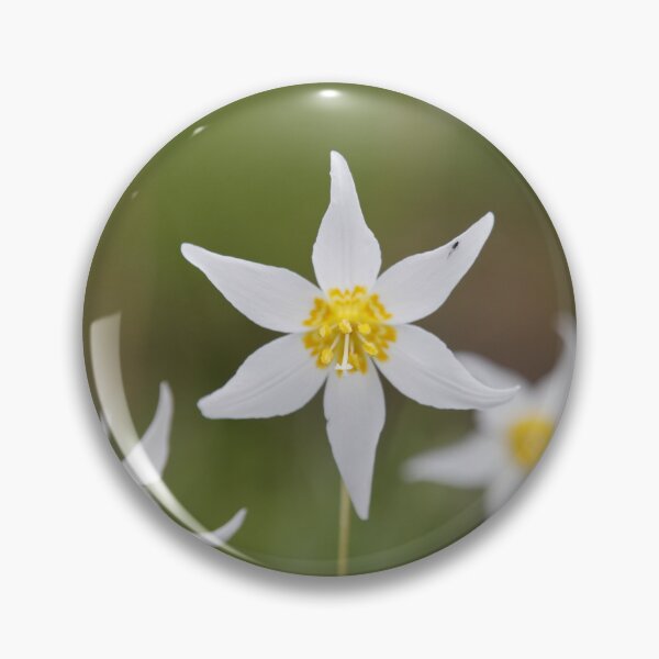 Item preview, Hurricane Ridge Flowers designed and sold by Stratus13.