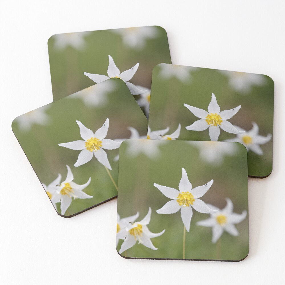 Item preview, Coasters (Set of 4) designed and sold by Stratus13.