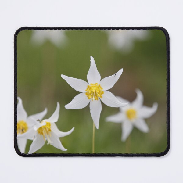 Item preview, Hurricane Ridge Flowers designed and sold by Stratus13.