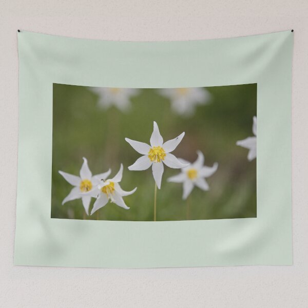 Item preview, Hurricane Ridge Flowers designed and sold by Stratus13.