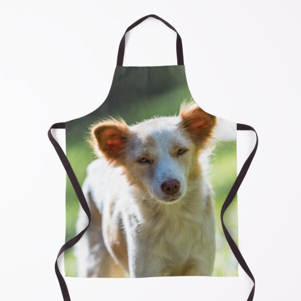 Item preview, Philippine Native Dog designed and sold by Lrenz.