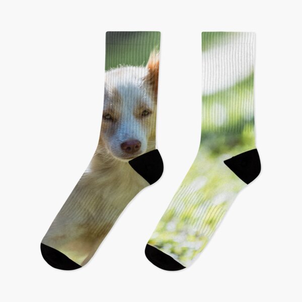 Item preview, Philippine Native Dog designed and sold by Lrenz.
