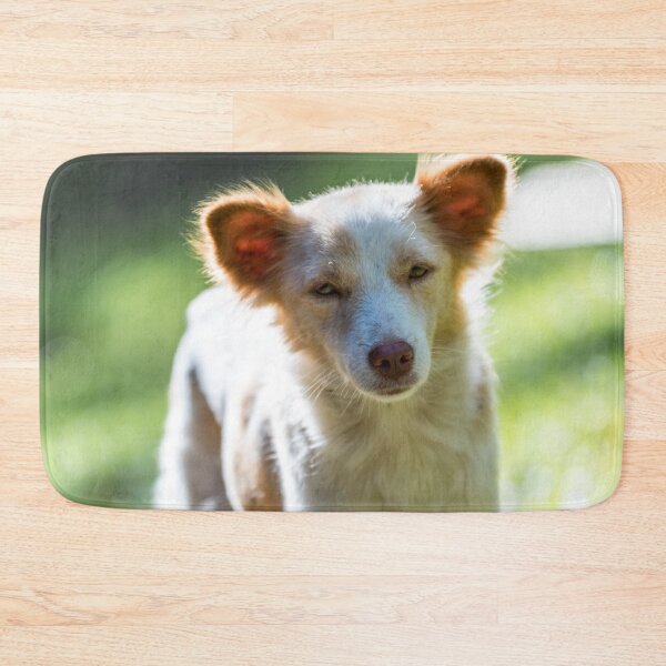 Item preview, Philippine Native Dog designed and sold by Lrenz.