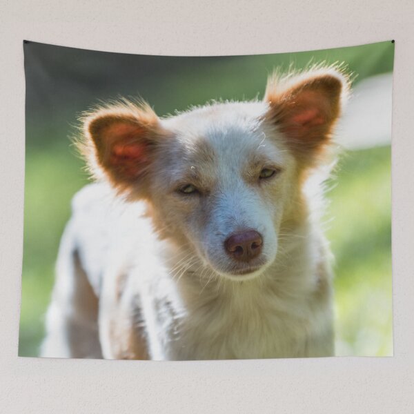 Item preview, Philippine Native Dog designed and sold by Lrenz.