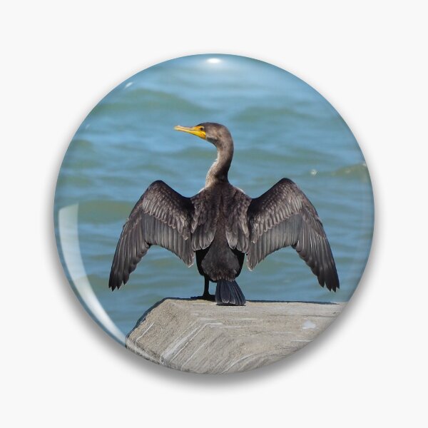 Item preview, Double-Crested Cormorant With Its Wings Spread designed and sold by BackyardBirder.