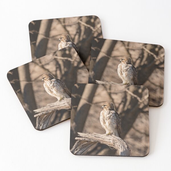Item preview, Red-shouldered Hawk designed and sold by suburbanwilds.