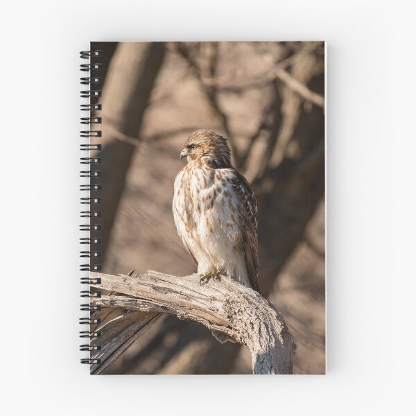 Item preview, Red-shouldered Hawk designed and sold by suburbanwilds.