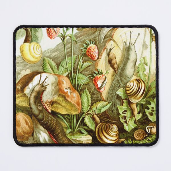Item preview, Land Molluscs designed and sold by Twisted Wick.