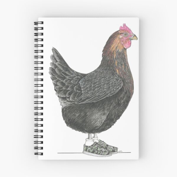 Item preview, Black Rock Chicken in Adam's Shoes designed and sold by JimsBirds.