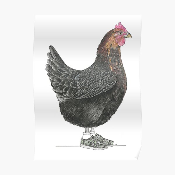 Black Rock Chicken in Adam's Shoes Poster