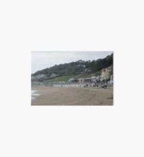 The Beach, Lyme Regis Art Board
