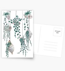Hanging plants in seashells Postcards