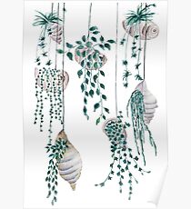 Hanging plants in seashells Poster