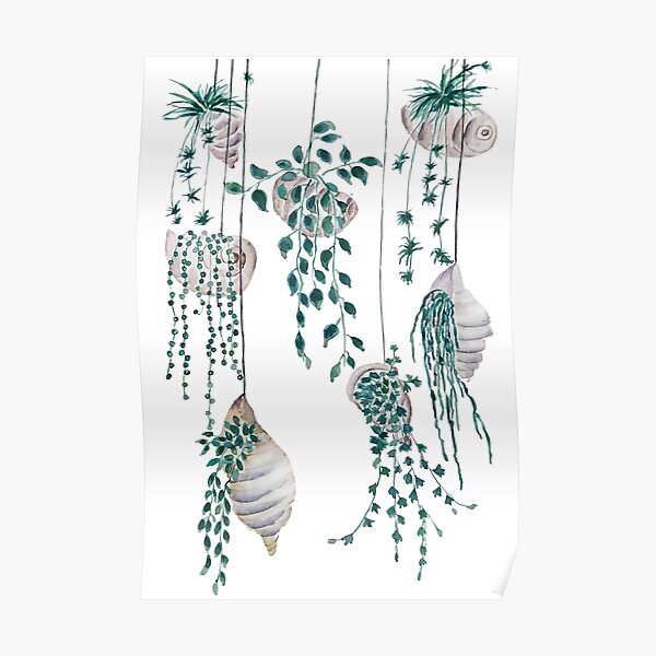 Hanging plants in seashells watercolor Poster