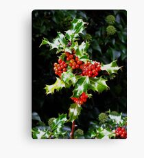 Holly Canvas Print