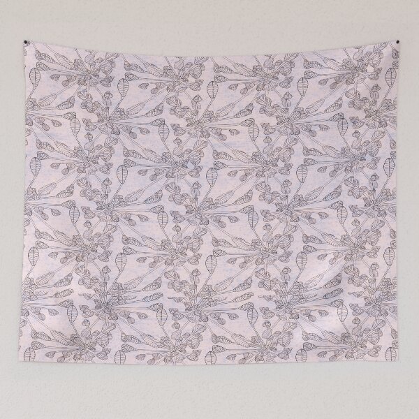 Item preview, Agapanthus Seedheads designed and sold by PurpleSandpiper.