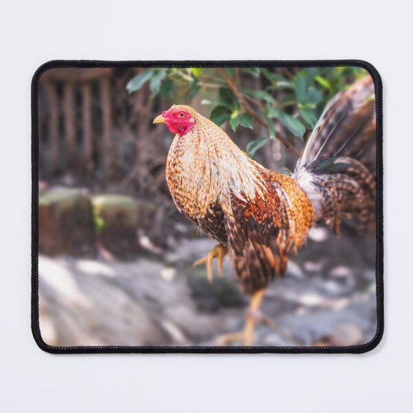 Item preview, Cockfighting Rooster designed and sold by Lrenz.