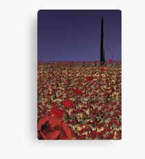 Can Ka No Rey Canvas Print