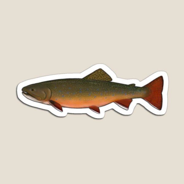 Brook Trout Fish Magnet