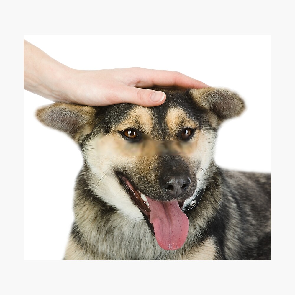 Dog Getting Pet On Head Poster By Grufalo Redbubble