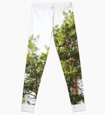Pine tree Leggings