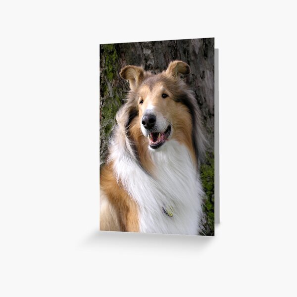 Item preview, Handsome designed and sold by Jan  Wall.