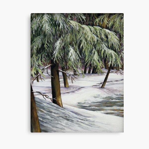 The Quiet through the Trees Canvas Print